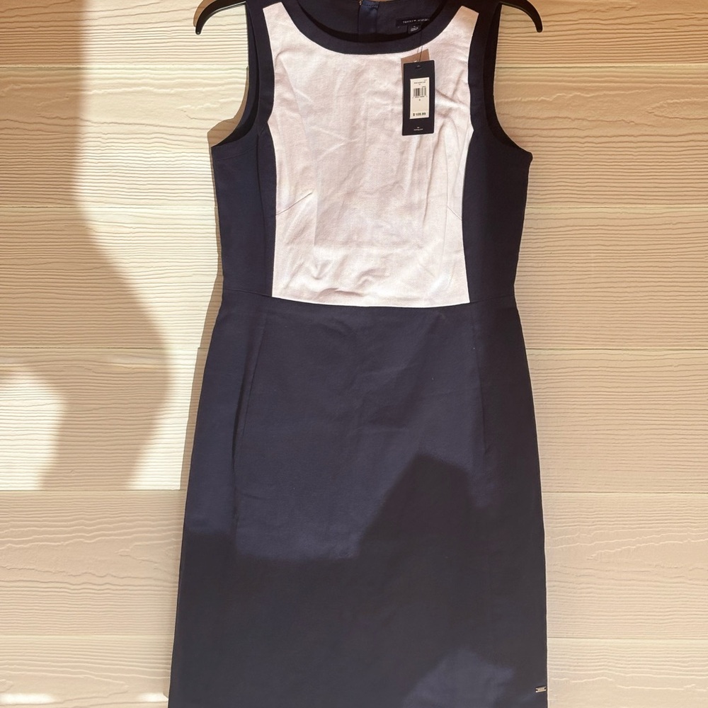 Elegant Blue and White Dress